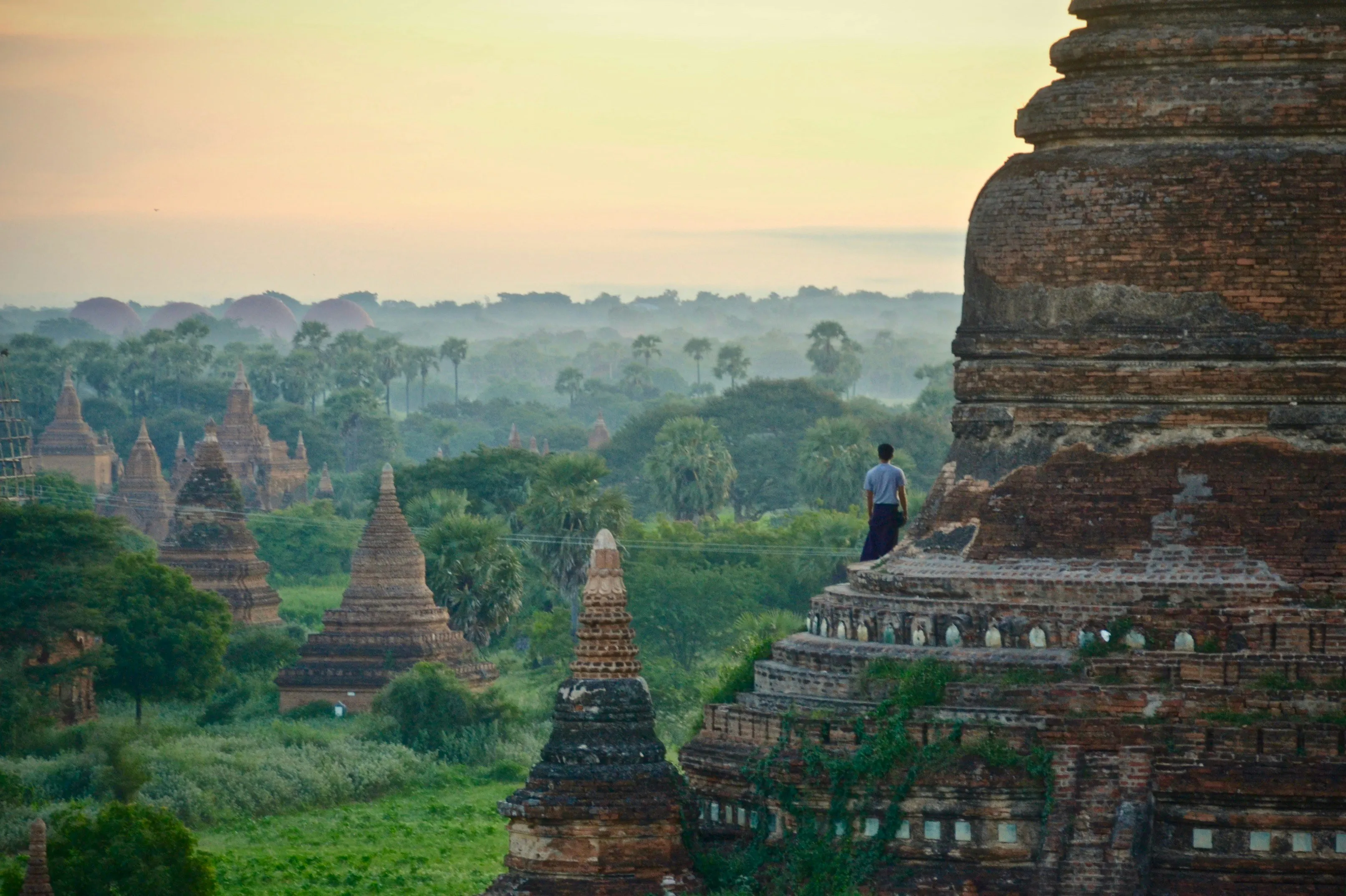 Les temples de brique de Bagan émergeant de la végétation au lever du soleil