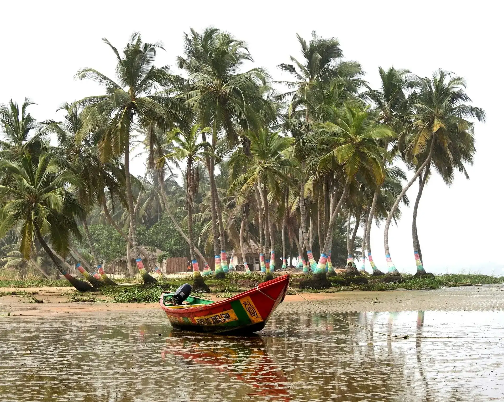 Barque de pêche colorée amarrée devant une cocoteraie aux troncs peints, sur une lagune ghanéenne
