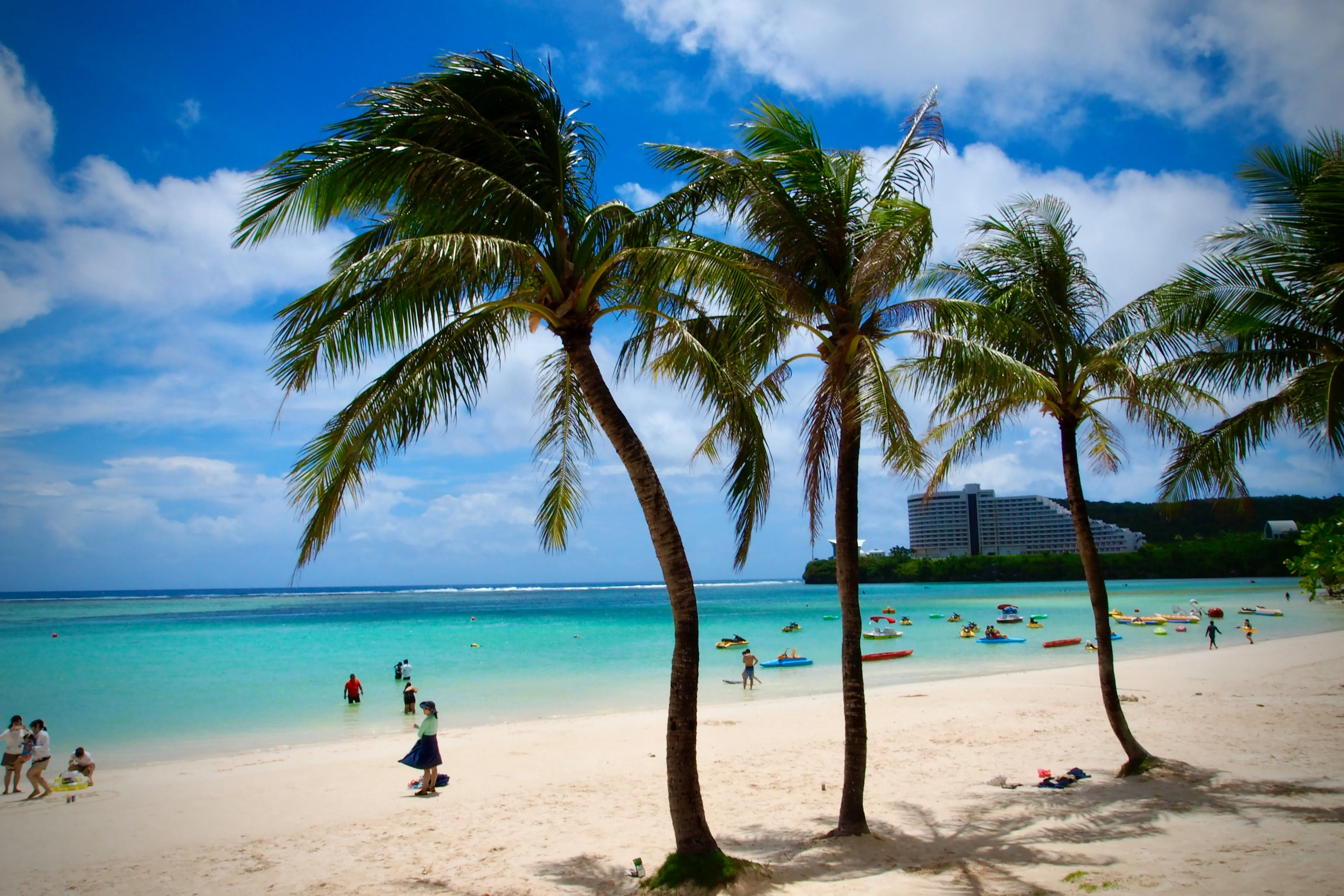Palmiers penchés sur le sable blanc et le lagon turquoise de la baie de Tumon