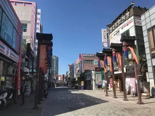 Les étals de plantes et de racines de la ruelle de la médecine orientale de Daegu