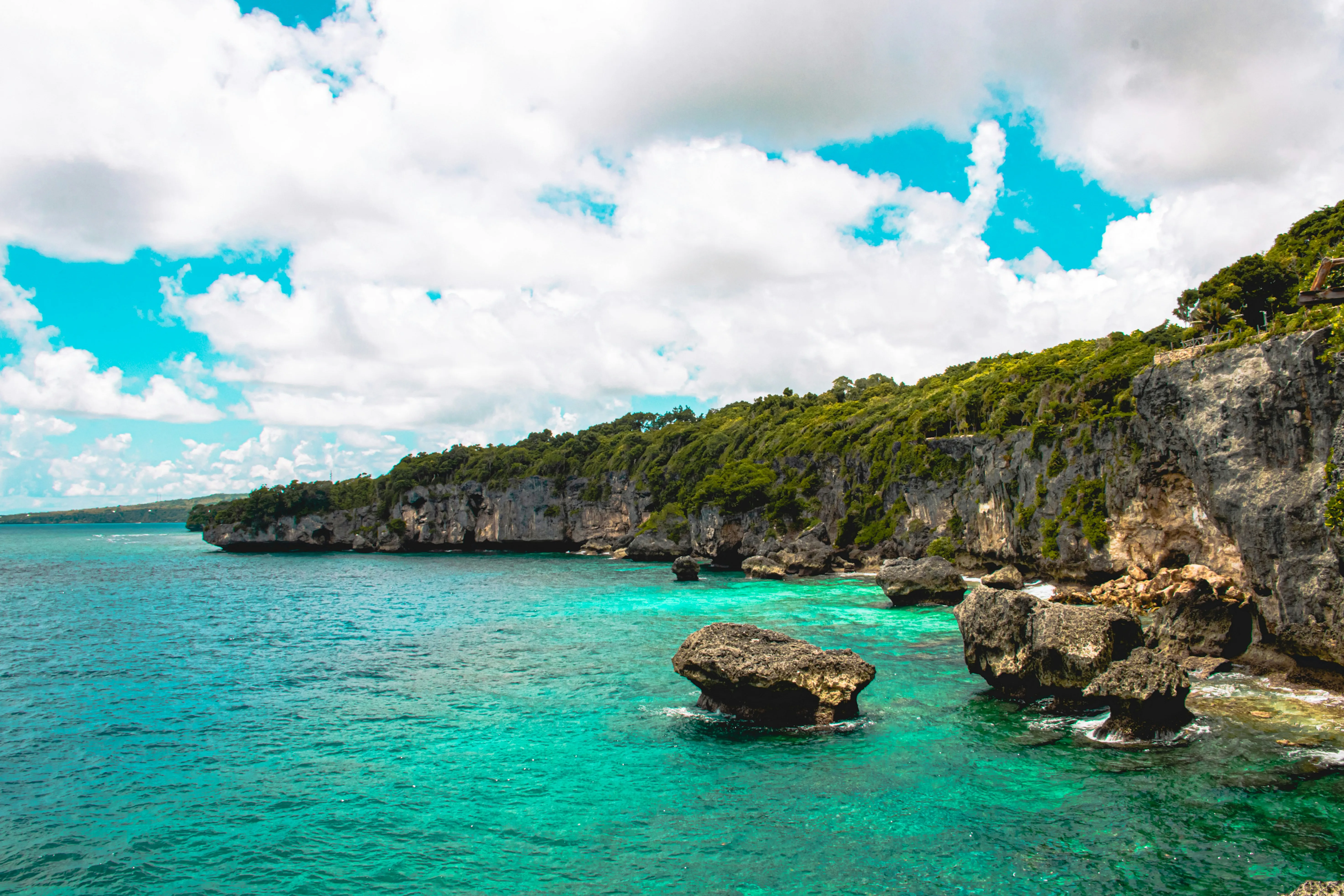 Falaises calcaires couvertes de forêt et blocs de corail dans l'eau turquoise, sur la côte de Niue