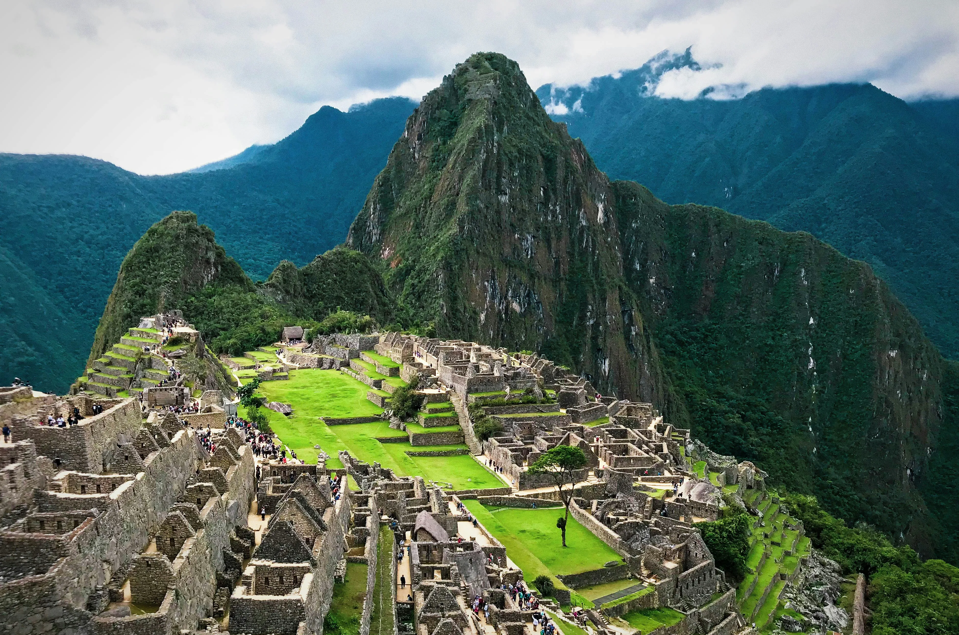 La citadelle du Machu Picchu et ses terrasses vertes au pied du pic Huayna Picchu